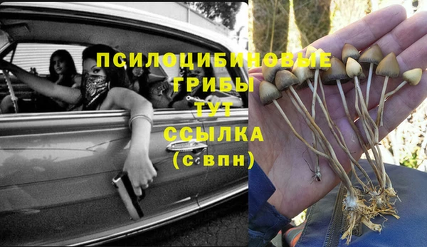 Альфа ПВП Алексеевка